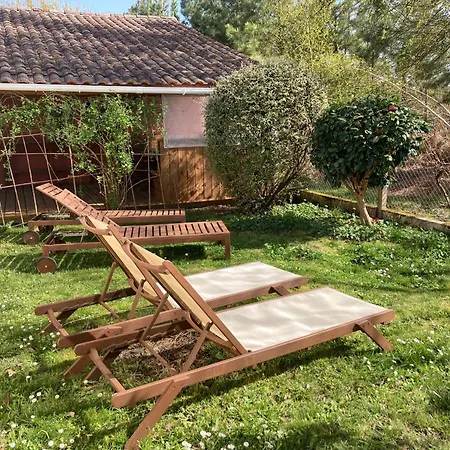 La Maison Rose بيت للعطل لو بورغ