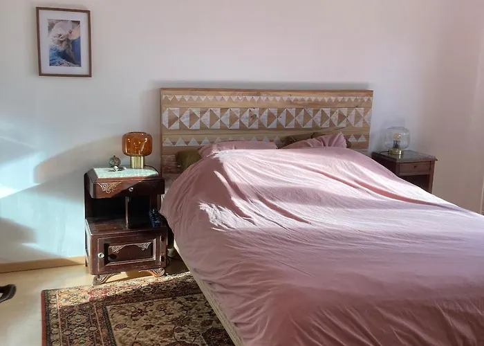 La Maison Rose لو بورغ