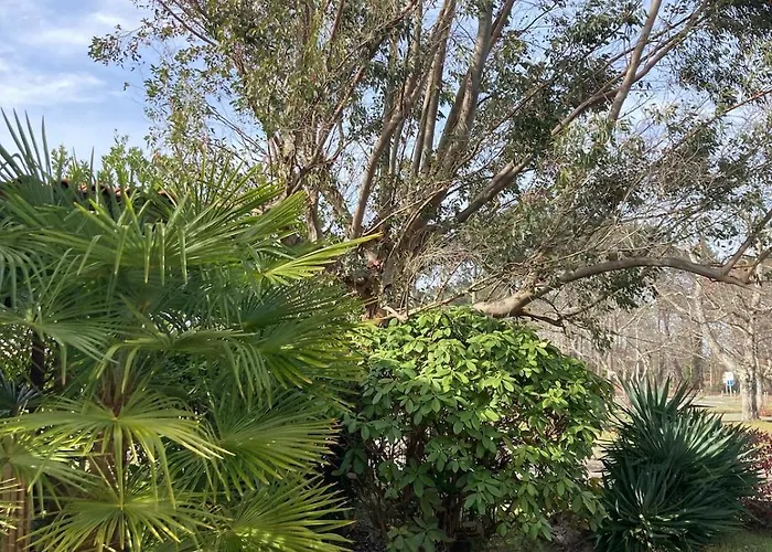 بيت للعطل La Maison Rose